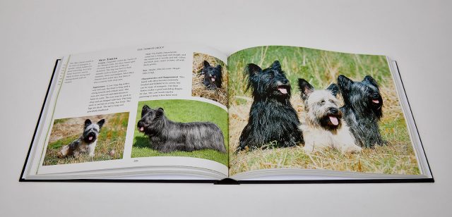 Here’s What PrintWeek Had to Say About Our ‘Book of One’ Production