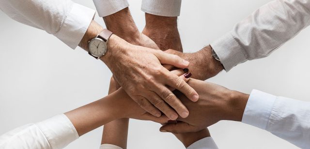 PODW wins East of England Business Champions 2015 for second year running