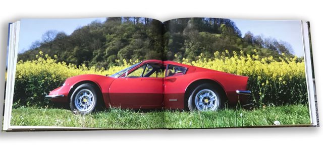 Phill Brigstock: Dino Days