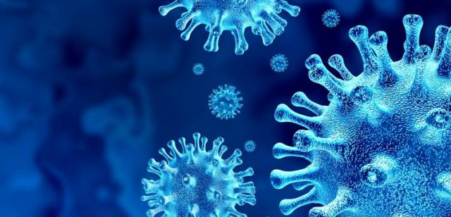 COVID-19 Border Closures